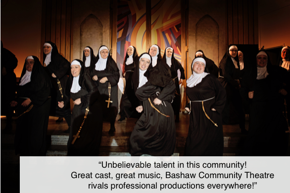 bashaw-community-theatre-gallery-1.png