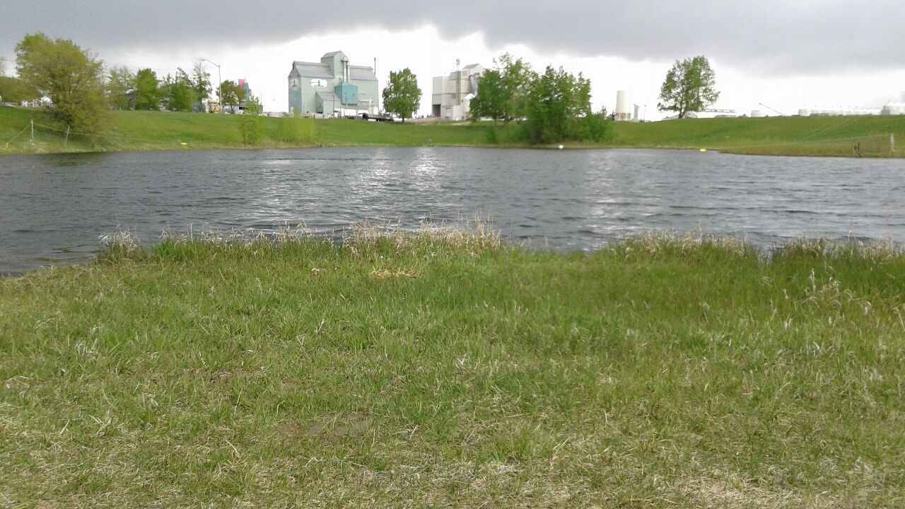 Lakes Near Bashaw Central Alberta Town of Bashaw